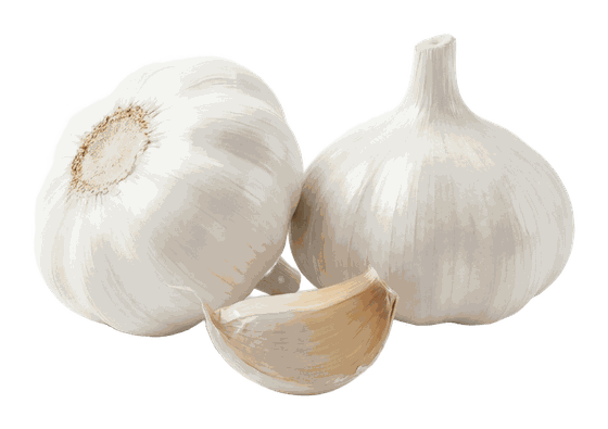 Aged garlic