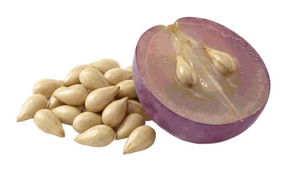 Grape seed